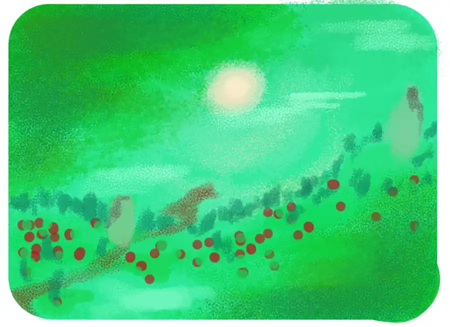 Sketch Spring